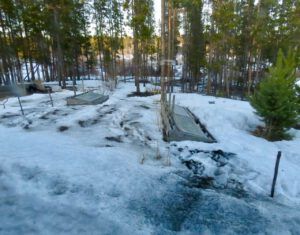 6 ashes on garden (April fool)