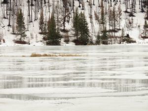 7 Bechers dam (Spring – sort of!)