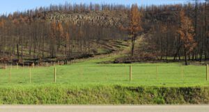 10 burn 3 (The Greening of Ginty Creek)