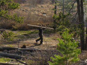 16 carrying wood (Instant Spring!)