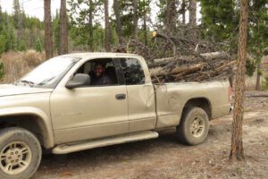 18 driving pickup (Instant Spring!)