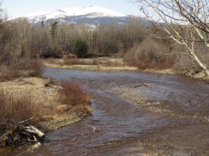 24 river up. (Instant Spring!)