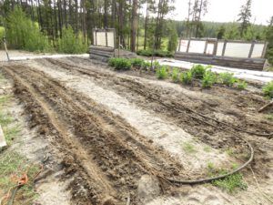 22 garden (The Greening of Ginty Creek)