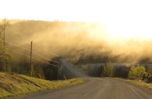 5 misty road (The Greening of Ginty Creek)