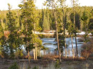 6 ice beginning to go of pond (Instant Spring!)