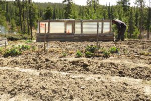 digging garden (Instant Spring!)