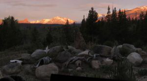 11 sunrise 2 (What Happened to Spring?)