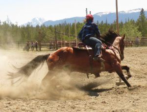 16 pole bending 4 (Tatla Lake Gymkhana 2018)