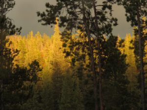 20 sunset 3 (What Happened to Spring?)