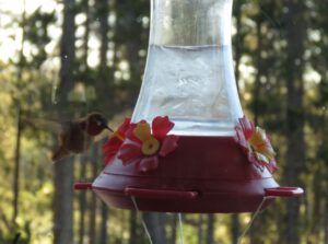 21 hummer popsicle (What Happened to Spring?)