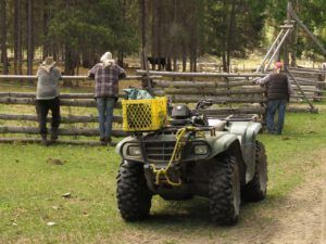 3 watching round-up (Precipice Cattle Drive 2018)