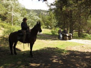 8 instructions (Precipice Cattle Drive 2018)