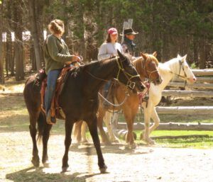 IMG_9798 (Precipice Cattle Drive 2018)