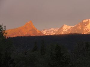 IMG_9892 (What Happened to Spring?)