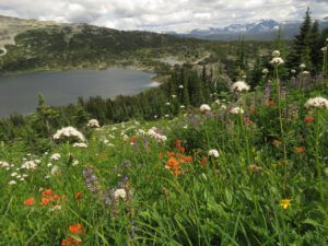 IMG_1011 (I’m still alive!)