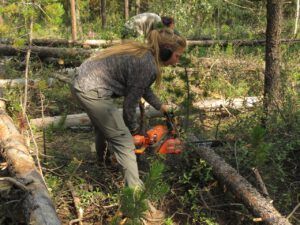 11 F and E chain sawing (The Next Batch of Volunteers)