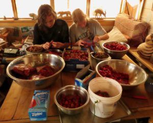 12 processing strawberries (The Next Batch of Volunteers)