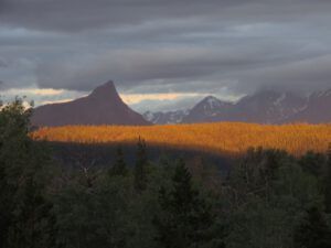 surnise again (Middle of June)