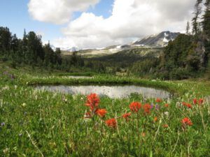 16 enroute (Nuktessli Revisited)