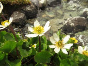 16 mmm (Perkin’s Peak again)