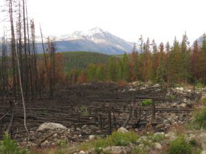 2 PP 2 (Perkin’s Peak again)