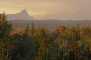 23 smoky sunrise (The Next Batch of Volunteers)