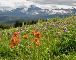 23 wilderness mt (Nuktessli Revisited)