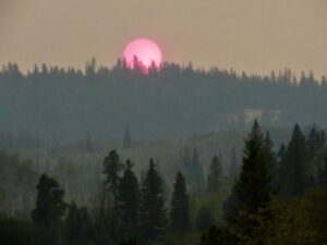 34 after party (The LeGesse Family)