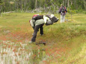 34 tourists (Nuktessli Revisited)
