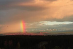 5 rainbow (Middle of June)