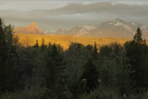 9 sunrise 2 (Middle of June)