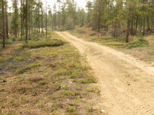 after (Middle of June)