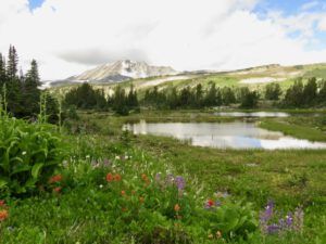 green meadows (Nuktessli Revisited)