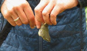 11 RCK (Fire to Ice)