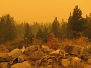 11 creepy yellow (Smoke)