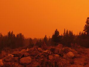 13 creepy orange (Smoke)