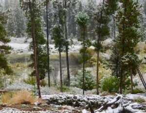 13 snow – pond (Fire to Ice)