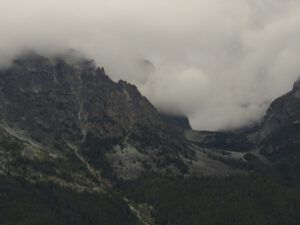 14 Niuts. (Fire to Ice)