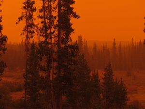 14 creepy orange 2 (Smoke)