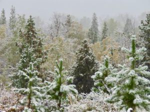 22 snowed again (Fire to Ice)