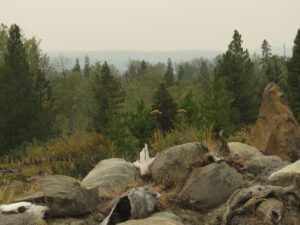 25 just dull (Smoke)