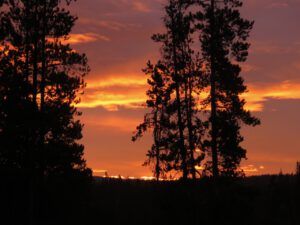 3 east (Fire to Ice)