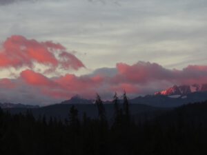 6 3 trees (Fire to Ice)