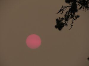 japanese sun (Smoke)