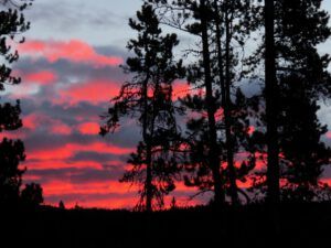 1 sunrise best (Sunny November.)