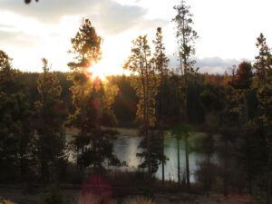 9 fresh ice (Sunny November.)