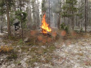 10 burning in snow (Fall Colours)