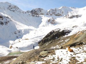 8 best view (Perkin’s Peak In Snow)