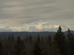 8 little fresh snow (Sunny November.)