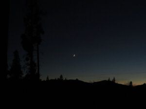 19 2-day moon (Sunny November.)